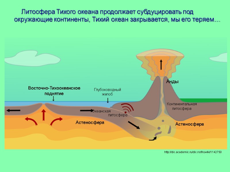 Литосфера Тихого океана продолжает субдуцировать под окружающие континенты, Тихий океан закрывается, мы его теряем…